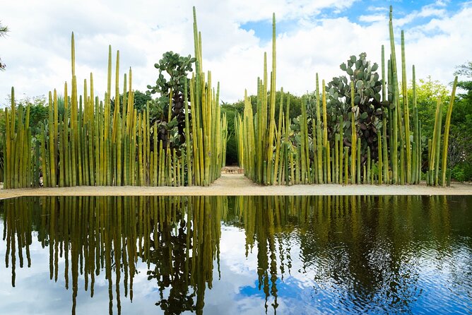 Oaxaca Scavenger Hunt and Sights Self Guided Tour - Starting Point in the Heart of Oaxacas Historic Center