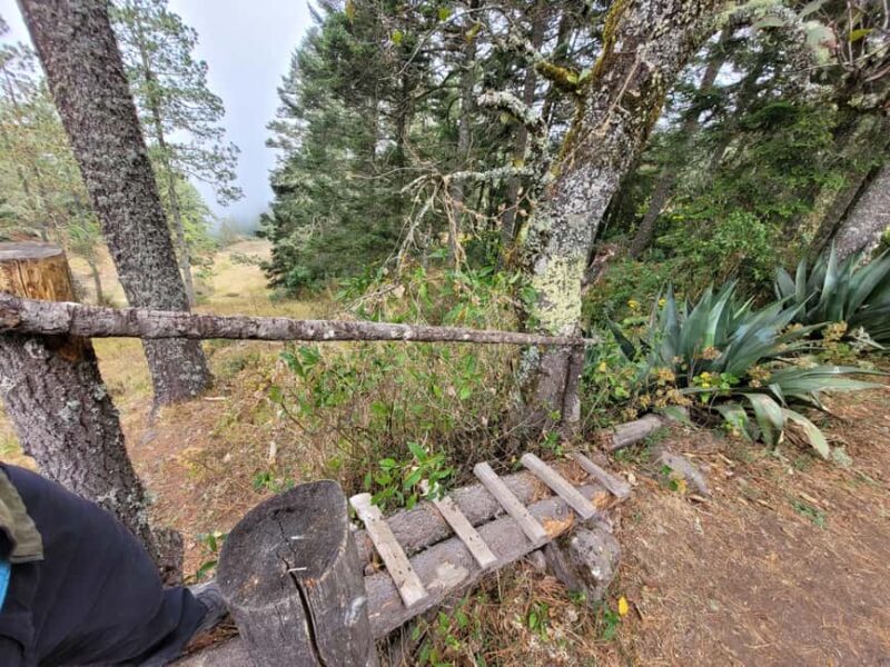 Oaxaca: Sierra Norte Ixtepeji Guided Hike & Lunch, Half-Day - The Magnificent Viewpoint at La Cumbre Ixtepeji