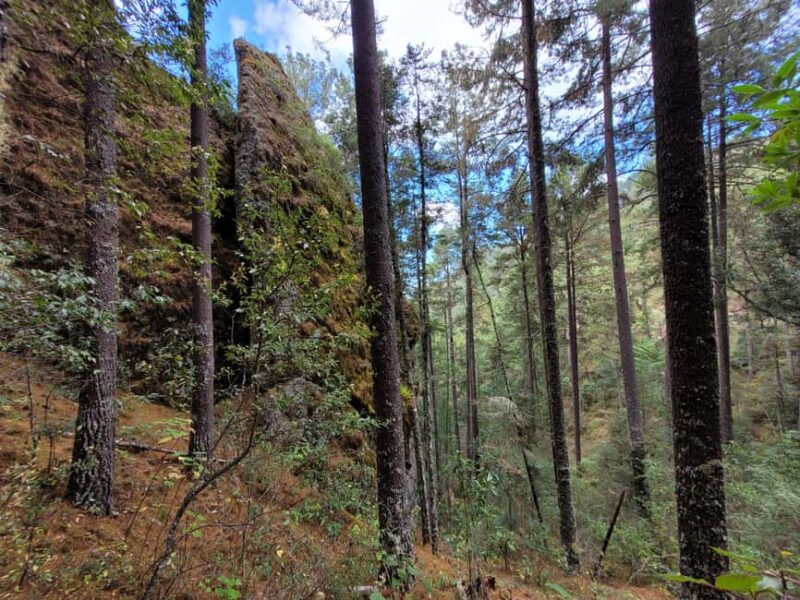 Oaxaca: Sierra Norte Ixtepeji Guided Hike & Lunch, Half-Day - Practical Details: What’s Included and What to Prepare