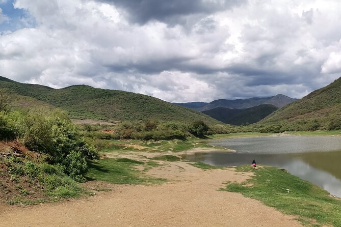 Oaxaca to Tule Tree Bike Tour - 6 hours - Visiting the Santa Maria del Tule Gastronomy Market and the Ancient Tree