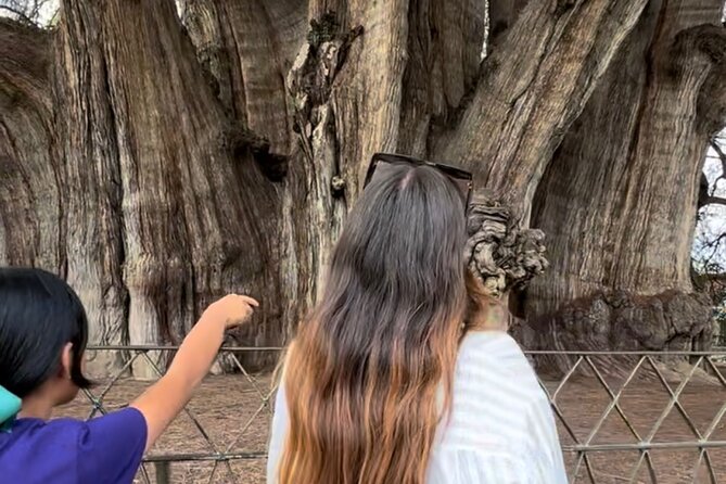 Oaxaca Vivo: Tapetes, Alebrijes Mezacal Monte Albán and more! - Key Points