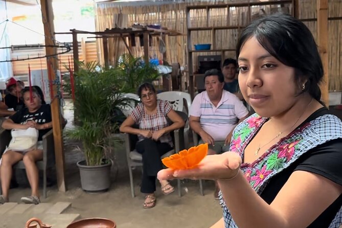 Oaxaca Vivo: Tapetes, Alebrijes Mezacal Monte Albán and more! - Discovering the Art of Wool Dyes in Teotitlán del Valle