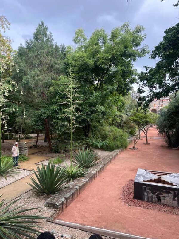 Oaxaca Walking Tour - Discovering the Oaxaca Institute of Graphic Arts