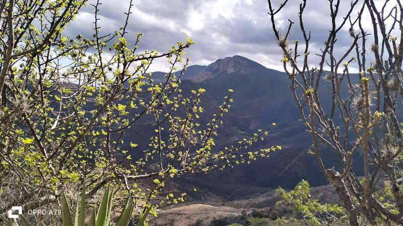 Oaxaca: Xaaga-Hierve el Agua 1 Day Hiking Tour - Optional Mezcal Tasting and Local Insights