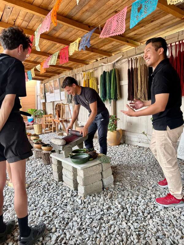 Oaxacan Journey - Visiting the Tule Tree, the Tallest Trunk in the World