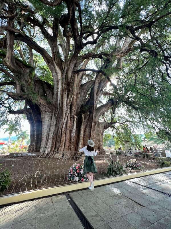 Oaxacan Journey - Logistics and Practical Details of the Tour