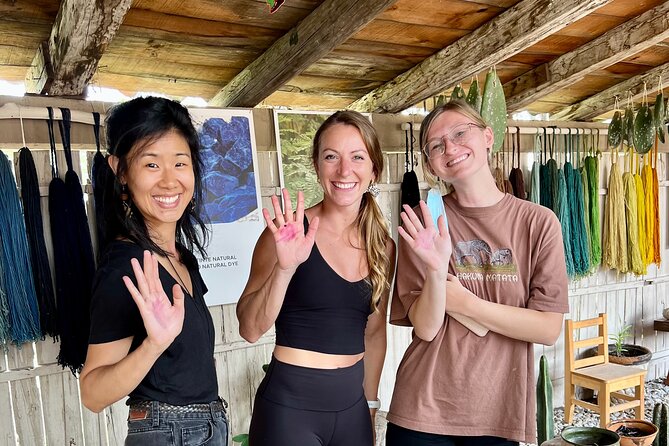 Oaxacan Journey - Admiring the Tule Tree and Its Cultural Significance