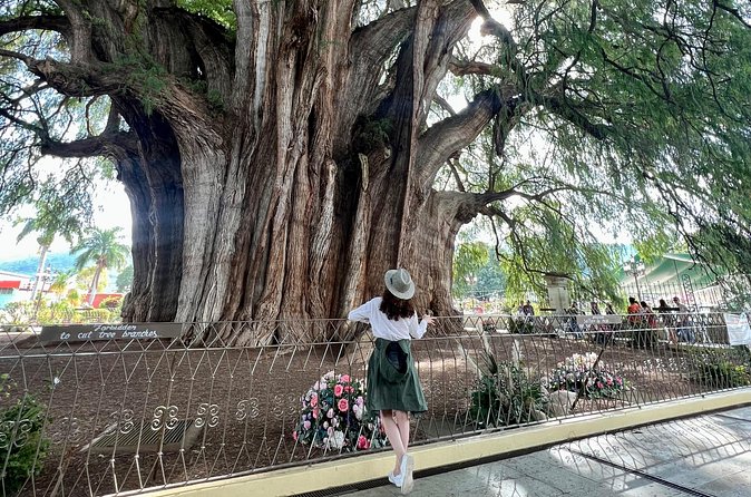 Oaxacan Journey - Transport and Group Size: Comfortable and Intimate