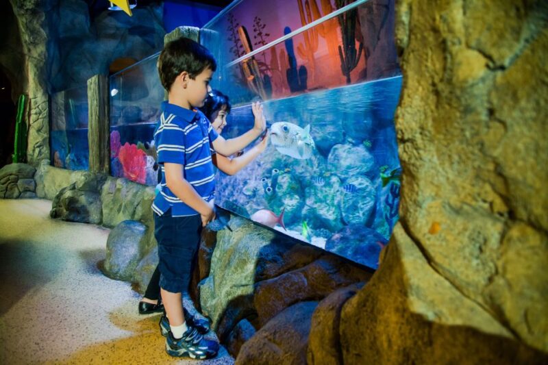 Oberhausen: LEGOLAND Discovery Centre and SEA LIFE Ticket - Exploring Germany’s Largest Aquarium at SEA LIFE Oberhausen