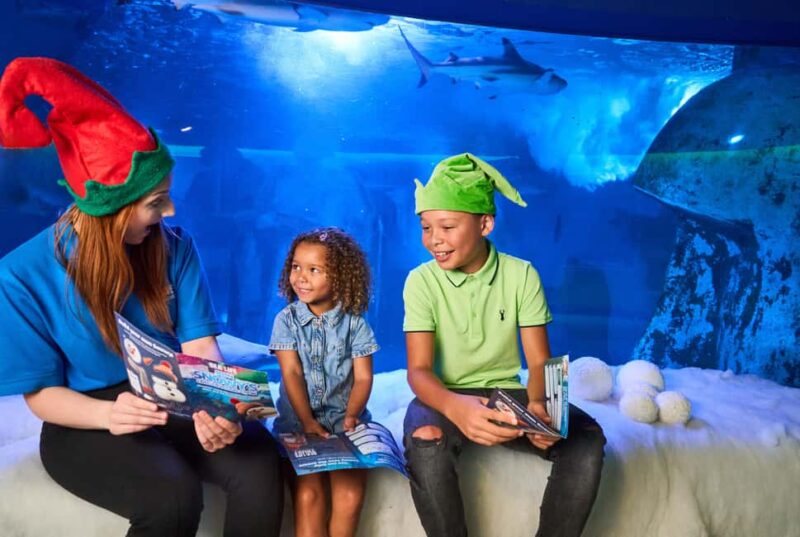 Oberhausen: SEA LIFE Oberhausen Entry Ticket - Daily Feedings and Interactive Shows