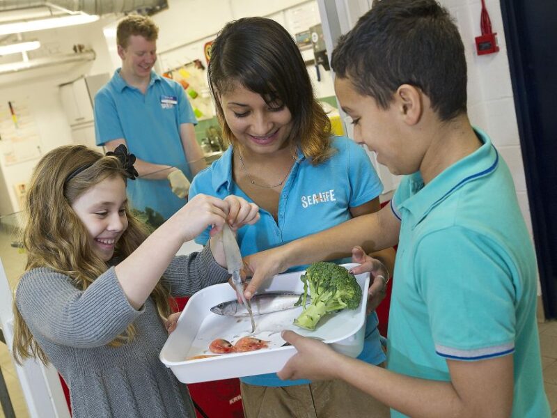 Oberhausen: SEA LIFE Ticket and Behind the Scenes Tour - Key Points