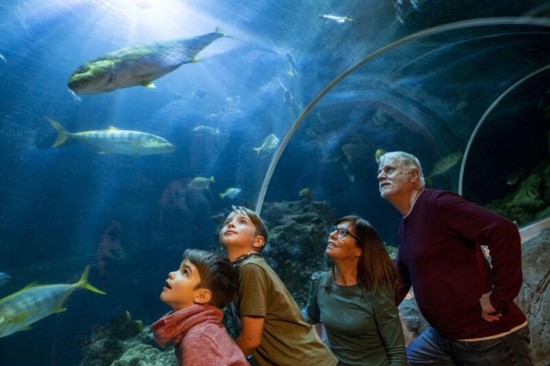 Oberhausen: SEA LIFE Ticket and Behind the Scenes Tour - What the Guided Tour in German Offers