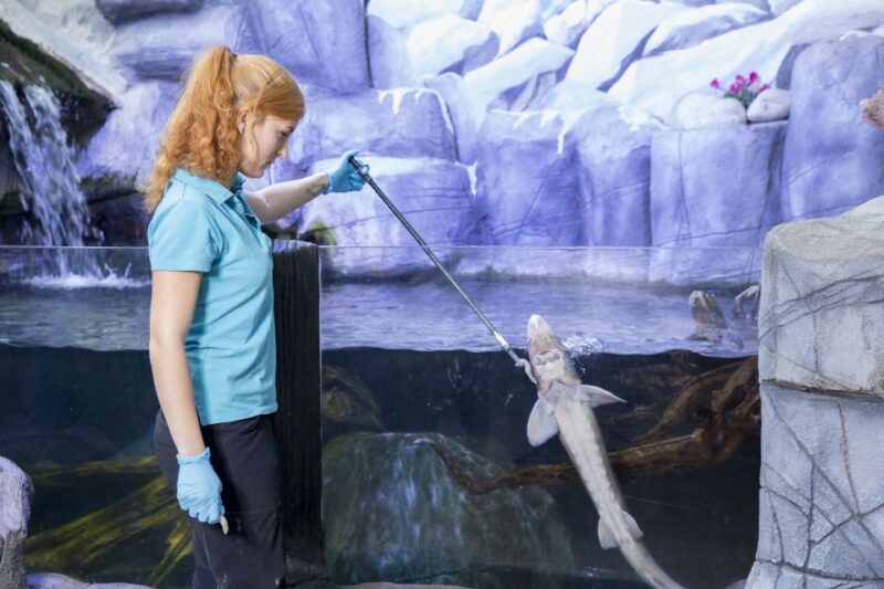 Oberhausen: SEA LIFE Ticket and Behind the Scenes Tour - Additional Inclusions and What’s Not Covered