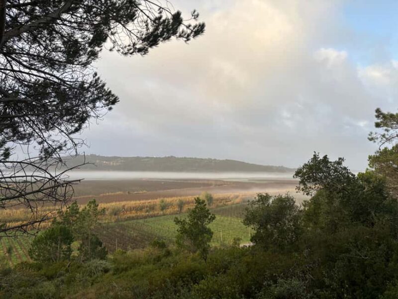 Óbidos Adventures: Walking Tours Beyond the Castle Walls - The Guide and Experience Quality
