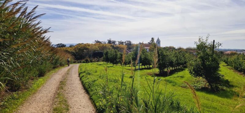 Óbidos: E-Bike Tour to Quinta do Gradil with Wine Tasting - Óbidos: Starting Point for a Medieval Charm Tour