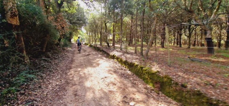 Óbidos: E-Bike Tour to Quinta do Gradil with Wine Tasting - Quinta do Gradil: Premium Wine Tasting at the Vineyard
