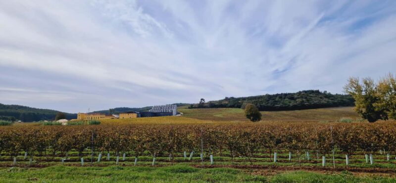 Óbidos: E-Bike Tour to Quinta do Gradil with Wine Tasting - The Omnipresent Charm of Óbidos Village