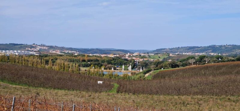 Óbidos: E-Bike Tour to Quinta do Gradil with Wine Tasting - Safety and Practical Tips for the Self-Guided Ride