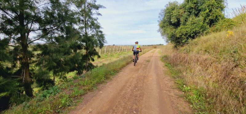 Óbidos: E-Bike Tour to Quinta do Gradil with Wine Tasting - Logistics: From Meeting to Return