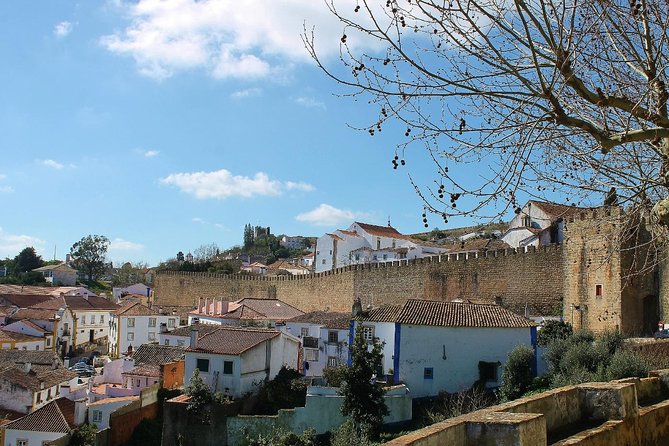 Óbidos historic village and Mafra Palace Private Tour - The Marvel of Mafra Palace and Its Architectural Wonders