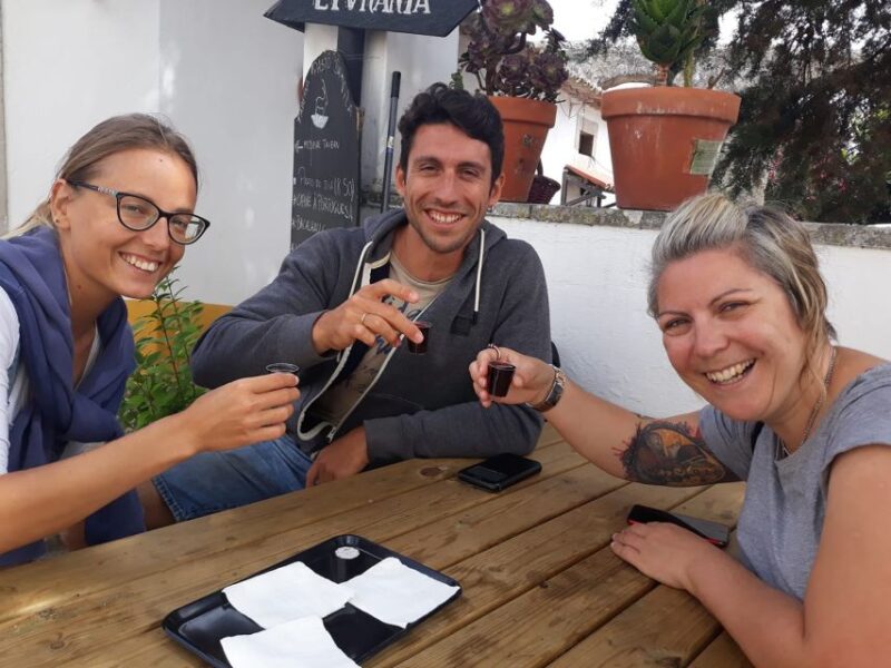 Óbidos: Medieval Tales & Secrets Spots Guided Walking Tour - Exploring Óbidos with a Focus on History and Art