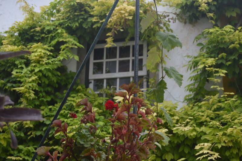 Óbidos: Medieval Tales & Secrets Spots Guided Walking Tour - Inside the São Tiago Bookstore in a Historic Setting