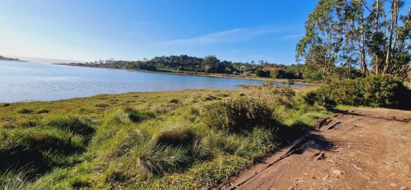 Óbidos to Peniche: Explore the Atlantic Coast E-bike Tour - Key Points