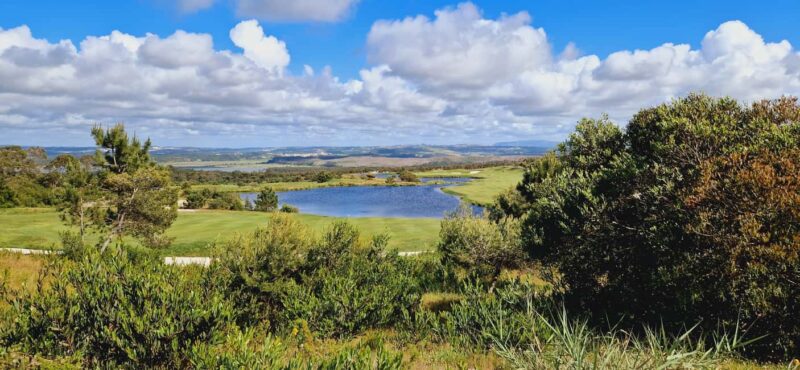 Óbidos to Peniche: Explore the Atlantic Coast E-bike Tour - Discovering the Untouched Beauty of Almagreira Beach