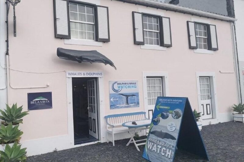 Observation of whales and dolphins in island Pico - The Expertise and Approach of the Guides