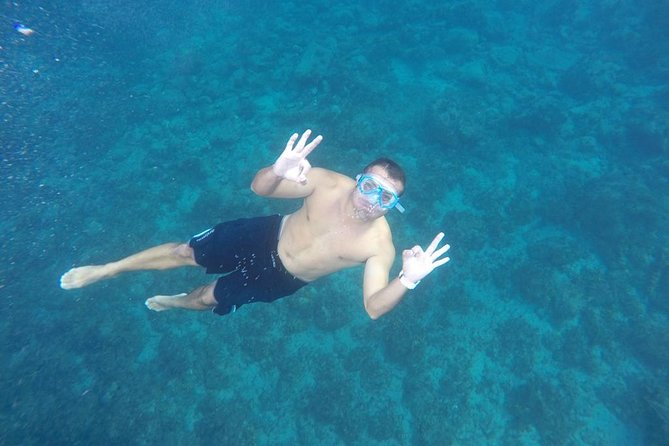 OBYCAT Experience - Who Will Love the OBYCAT Experience?