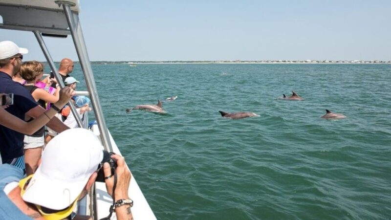 Ocean City, MD: Coastal Speedboat Tour with Dolphin Spotting - The Thrill of a Speedboat Ride in Ocean City