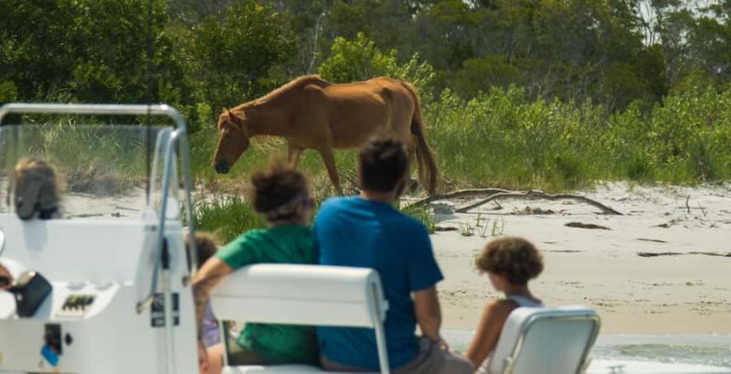Ocean City: Private Party Assateague Island Cruise - Key Points