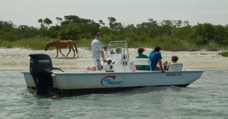 Ocean City: Private Party Assateague Island Cruise - Flexibility and Weather Considerations