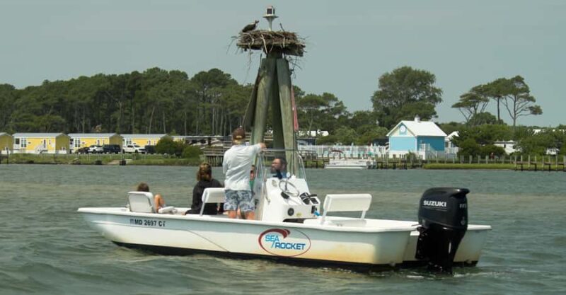 Ocean City: Private Party Assateague Island Cruise - Who Will Enjoy This Tour Most?