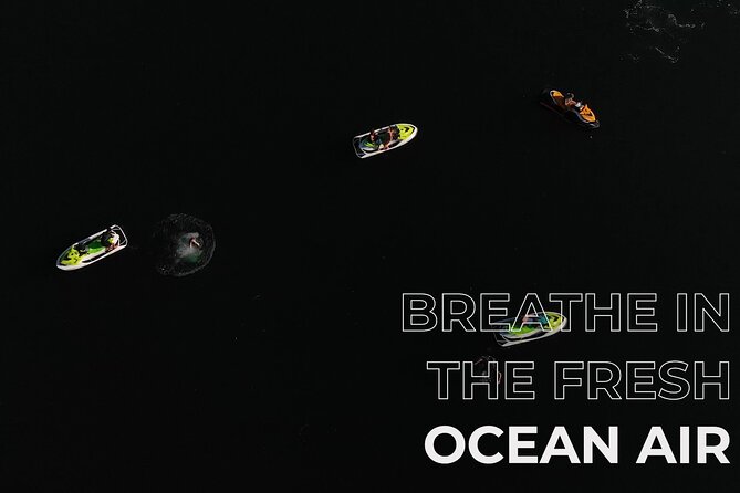 Ocean is Yours Seadoo Experience from Vancouver - Key Points