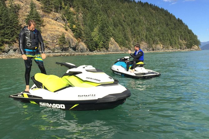 Ocean is Yours Seadoo Experience from Vancouver - Spotting Seal Colonies at Pam Rocks