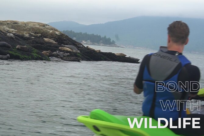 Ocean is Yours Seadoo Experience from Vancouver - Practical Details: What to Bring and Wear