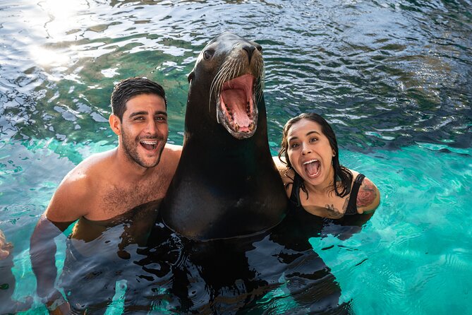 Ocean Mania & water park experience in Puerto Vallarta - Snorkeling and Marine Life Encounters