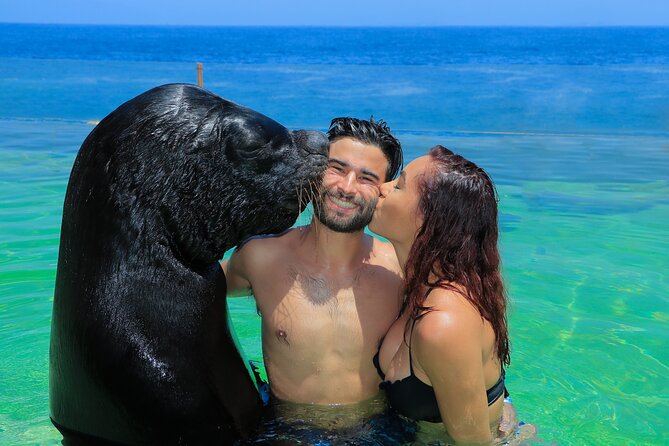 Ocean Mania & water park experience in Puerto Vallarta - Why Ocean Mania in Puerto Vallarta is a Good Choice