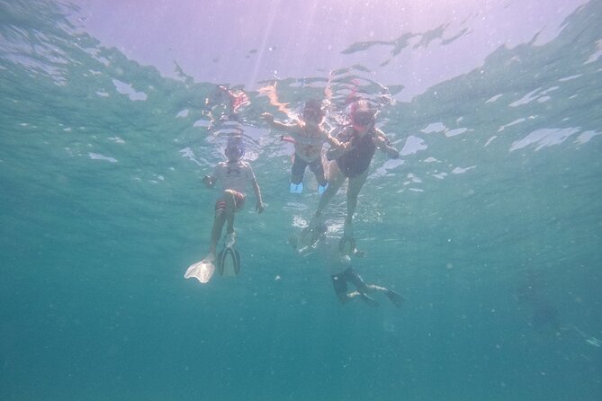 Ocean Ridge Snorkeling and Freediving Activity - The Reef Location and Distance from Shore