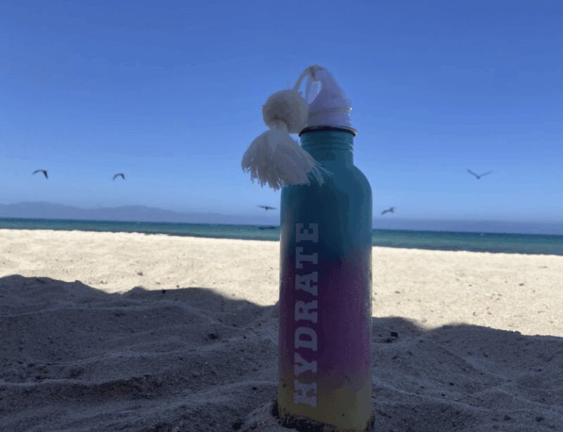 Ocean Safari in La Ventana BCS - Snorkeling Along Vibrant Coral Reefs