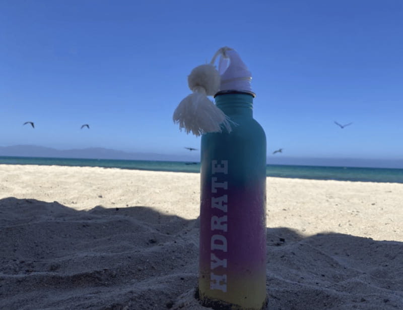 Ocean Safari in La Ventana BCS - Expert Guides and Safety Measures