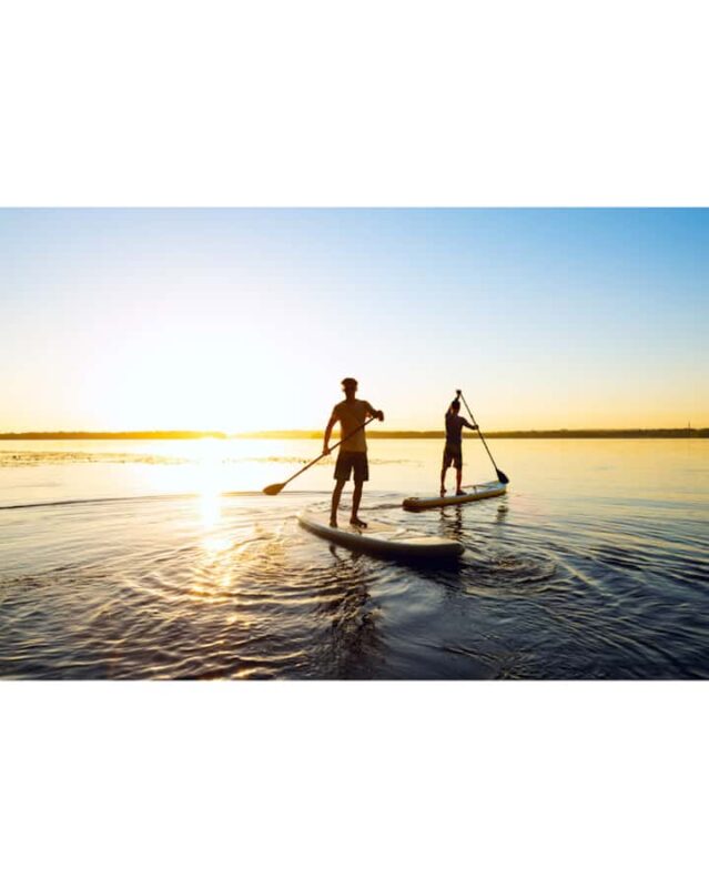 Ocean Springs: Stand-Up Paddleboarding Guided Tour - Key Points