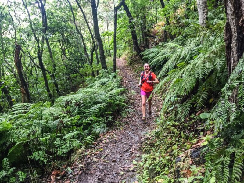 Ocean to Mountain Running Tour - Comparing This Tour to Other Madeira Activities