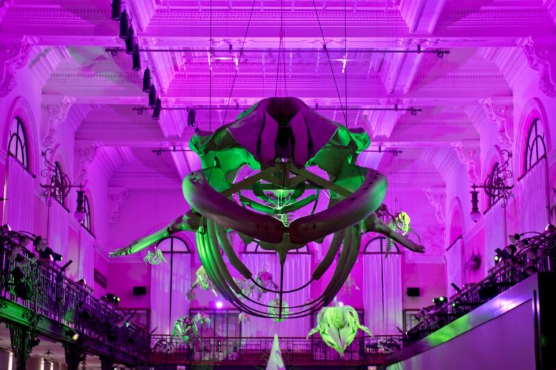 Oceanographic Museum of Monaco Ticket - Relaxing on the Toit-Terrasse with Iconic Views