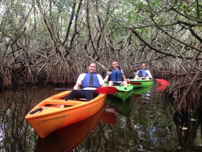 Ochopee: Half-Day Mangrove Tunnel Kayak Tour - Small Group Setting and Guide Expertise