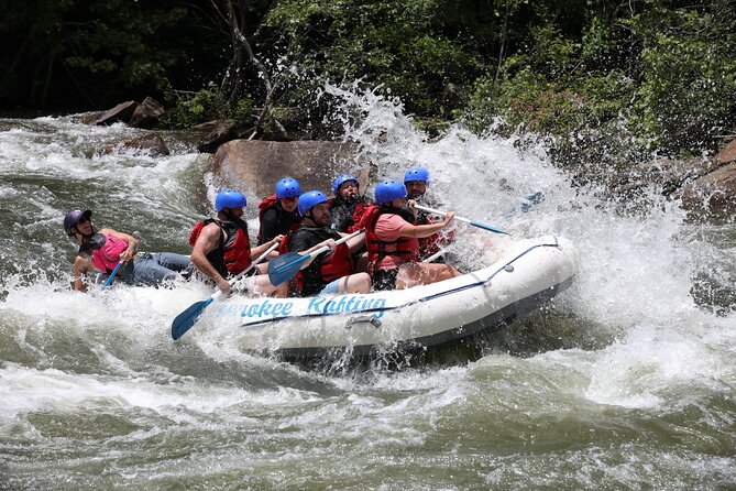 Ocoee River Middle Whitewater Rafting Trip (Most Popular Tour) - Why This Tour Continues to Earn Top Ratings
