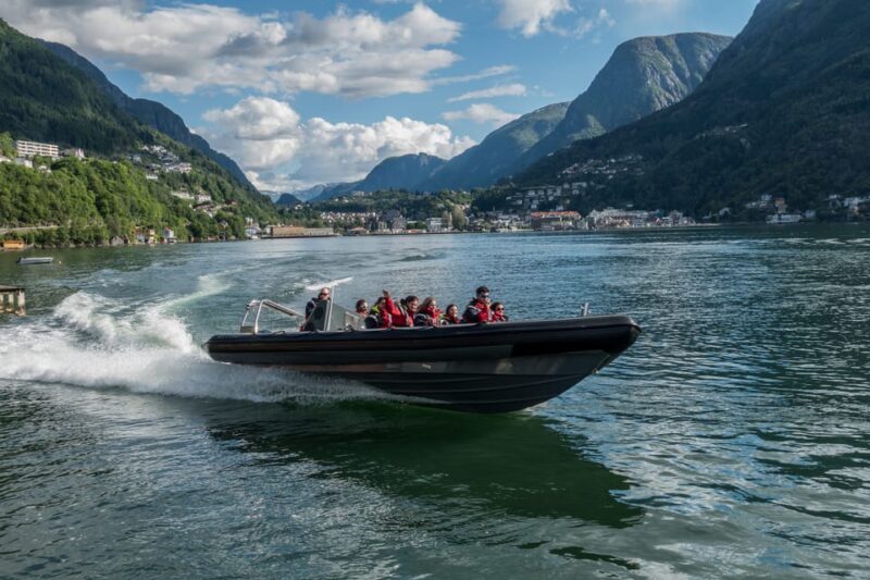 Odda: RIB Boat Tour on the Hardangerfjord - Wildlife Spotting and Nature Observation from the Water