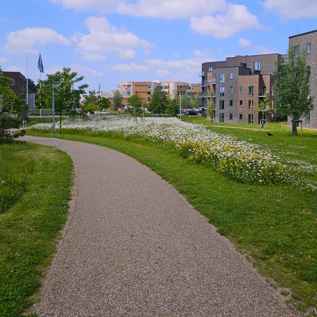 Odense: City walk - The new green Odense - City development - Exploring the Former Industrial Area and New Urban Districts