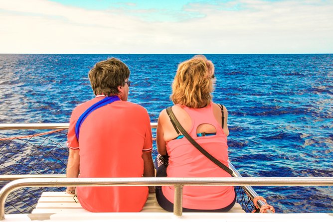 Odyssee 3: The Glass Bottom Boat Tour in Fuerteventura - Dolphin and Whale Sightings: The Main Attraction